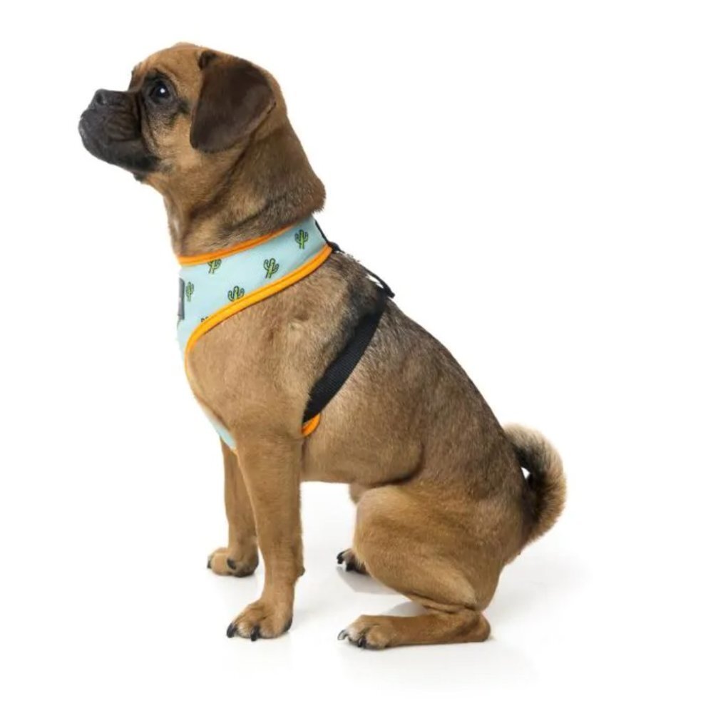 NWOT FuzzYard Dog Harness Cactus Theme with Secure D-ring | Lightweight XL - Picture 3 of 12